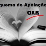 esquema de apelação, prova oab, livros, estudando, estudos, oab, dicas